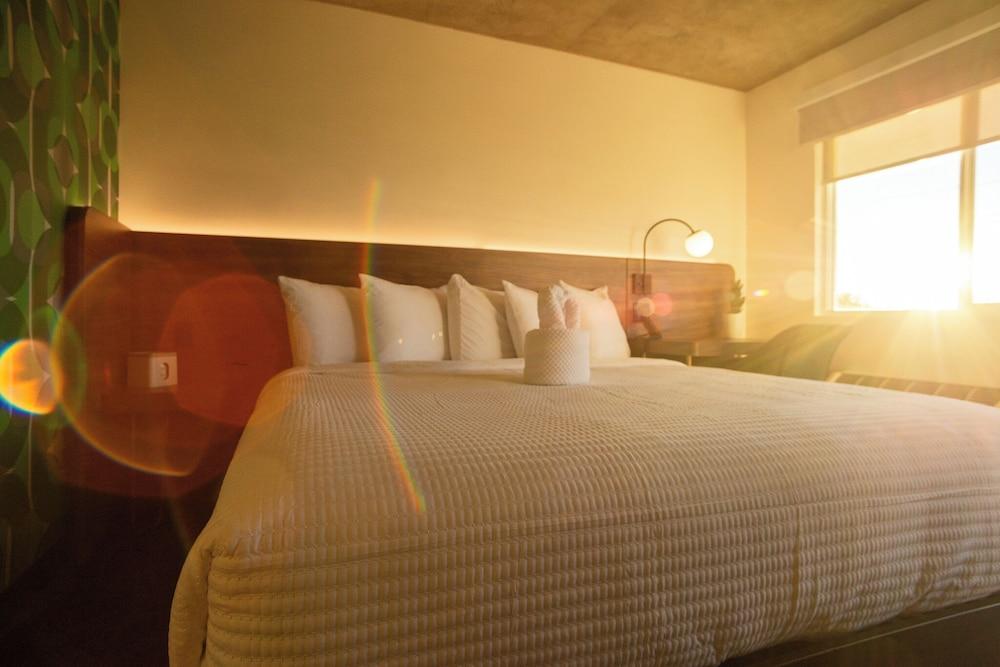 The Alice Hotel photo 43