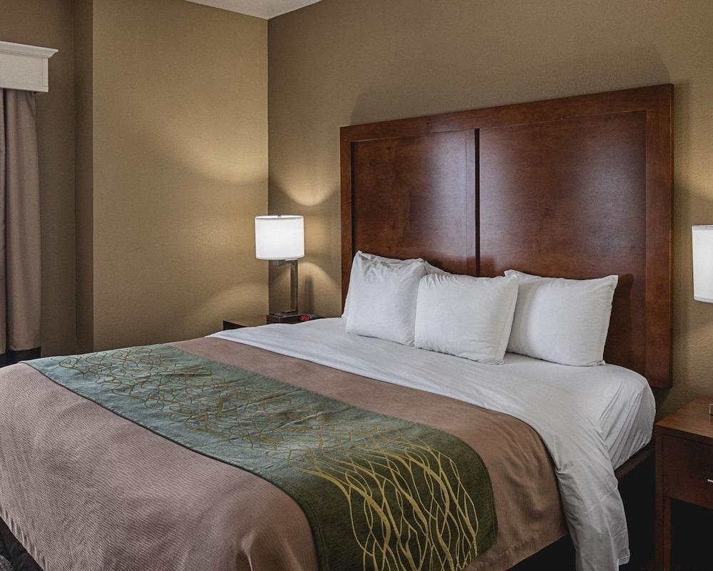 Comfort Inn Midland South I-20 photo 19