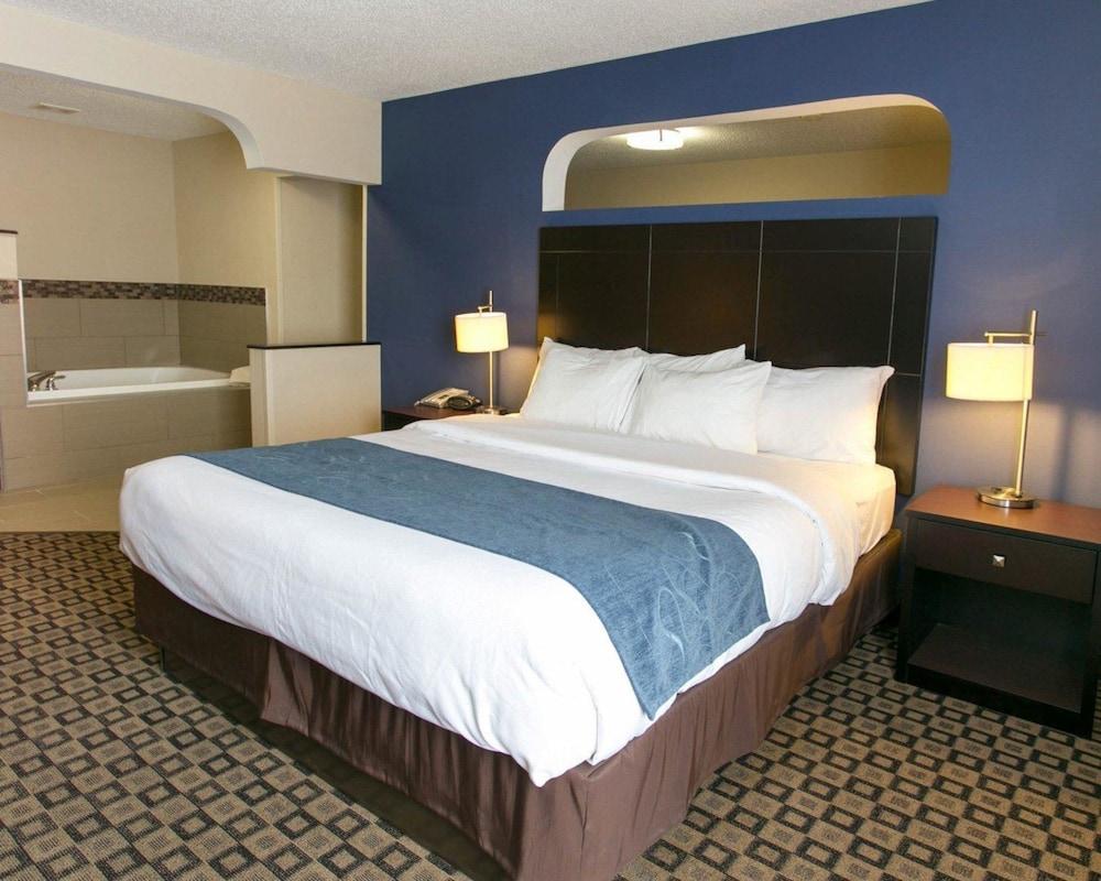 Comfort Suites Benton Harbor - St. Joseph photo 22
