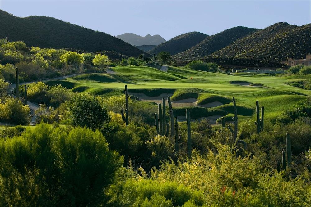 JW Marriott Starr Pass Resort and Spa photo 97