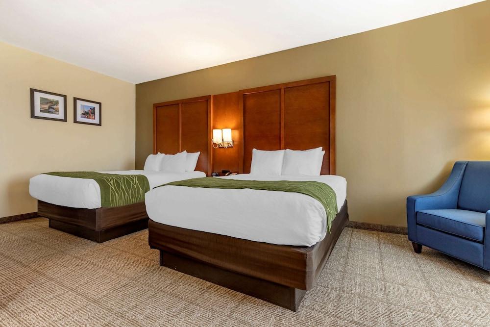Comfort Inn & Suites Orangeburg photo 10