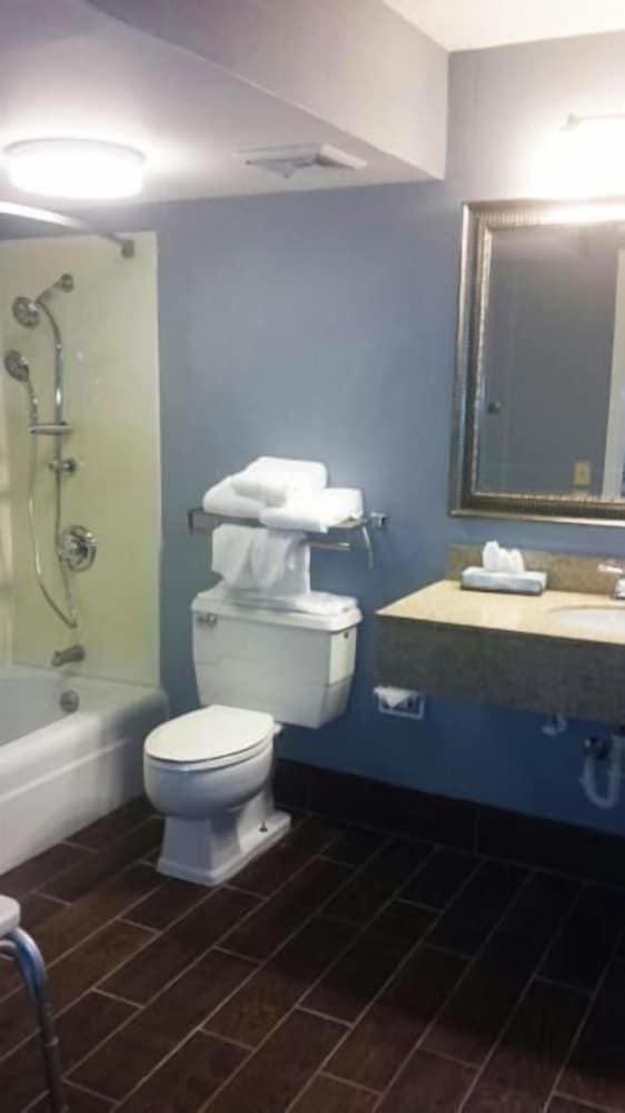 Wingfield Inn photo 40