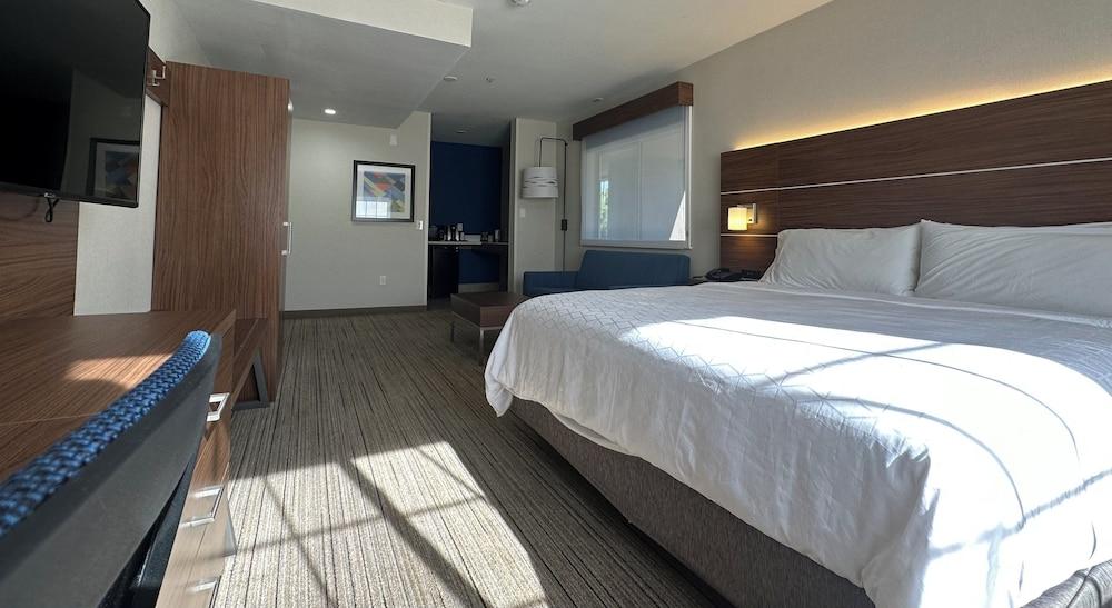 Holiday Inn Express & Suites Mountain View Silicon Valley by IHG photo 8
