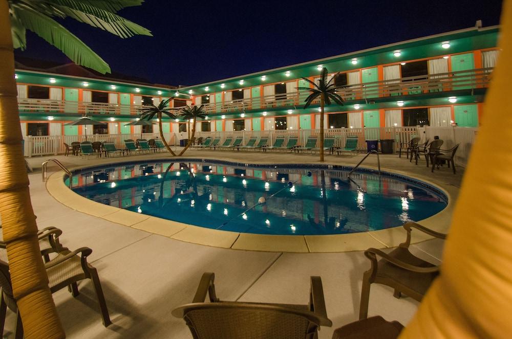 Dolphin Inn photo 7