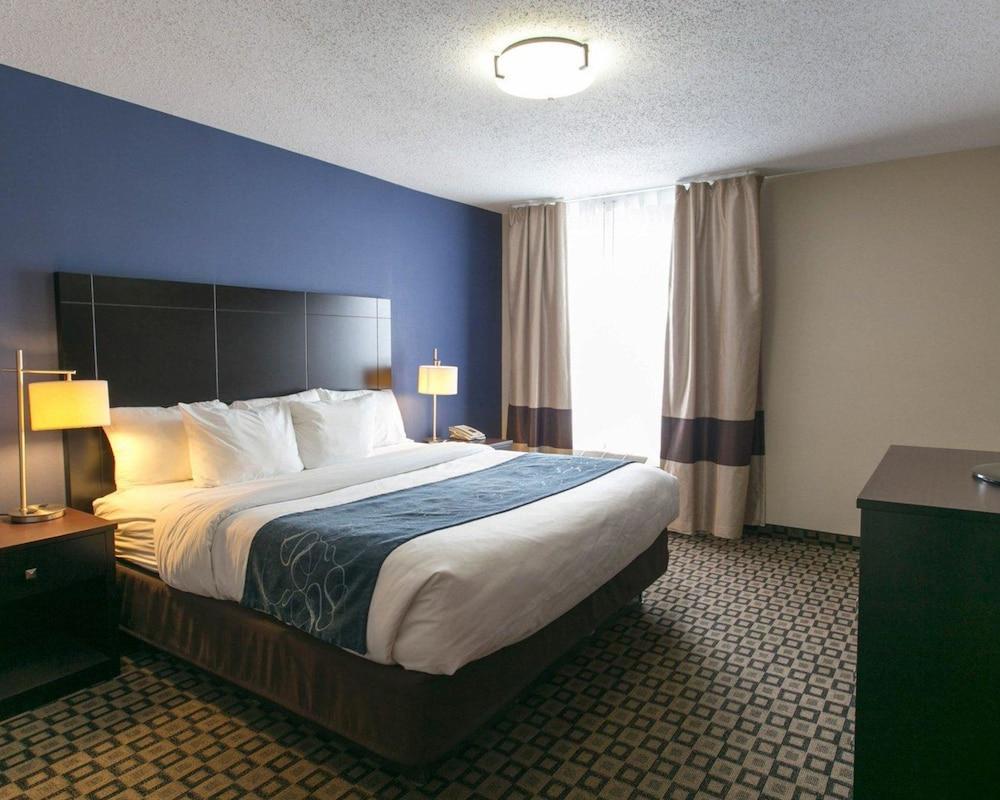 Comfort Suites Benton Harbor - St. Joseph photo 9