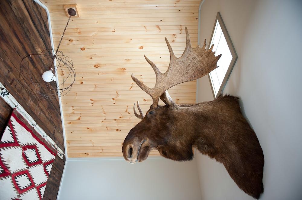 Mad River Barn photo 22