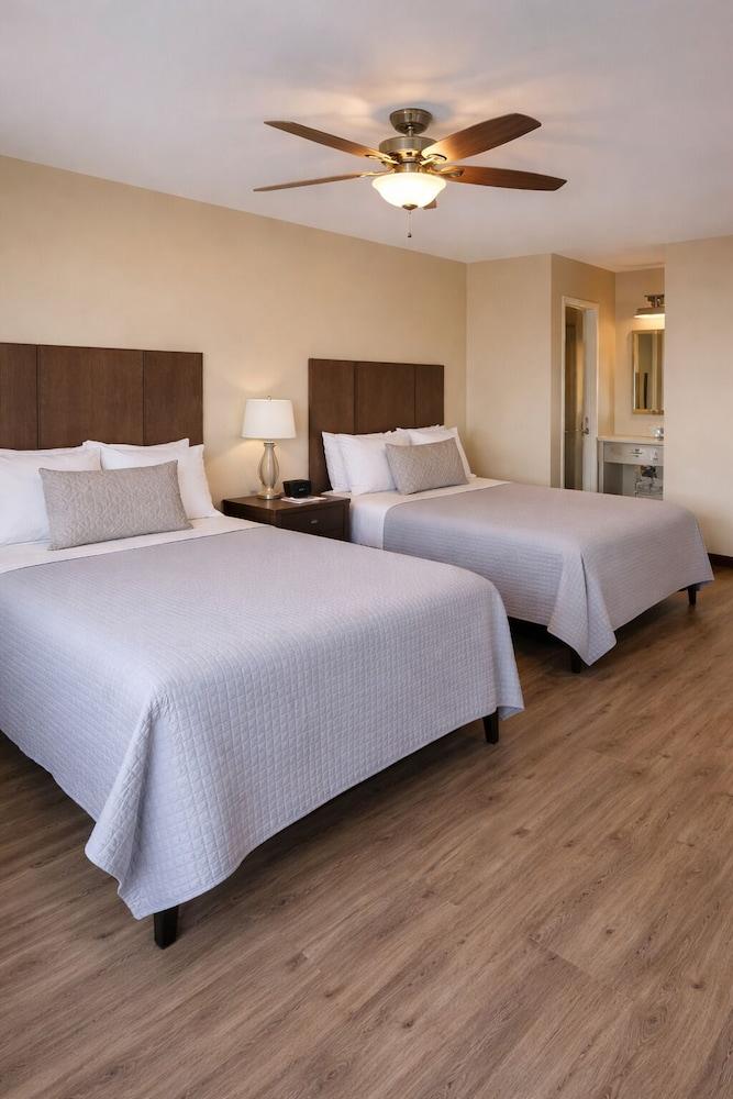 Venice Inn photo 14
