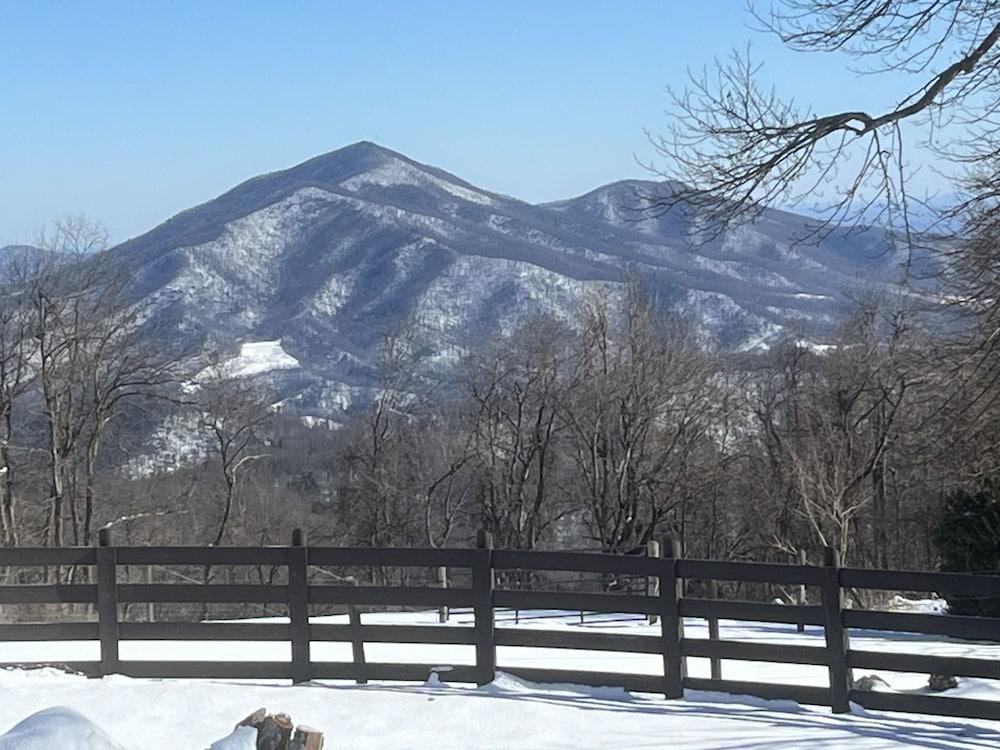 Bent Mountain Lodge photo 45