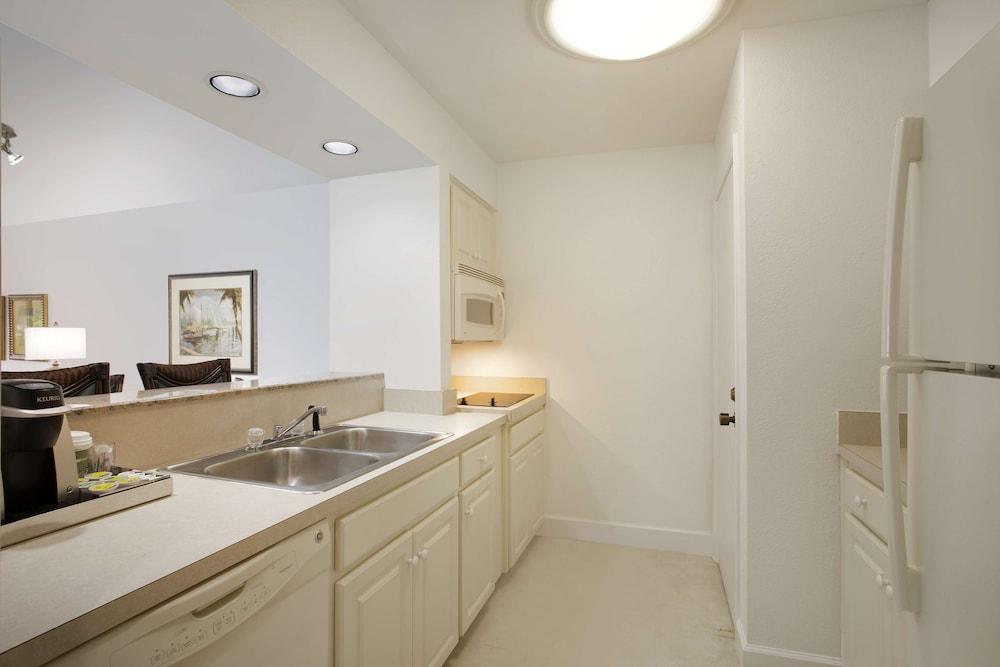 Saddlebrook Resort photo 15