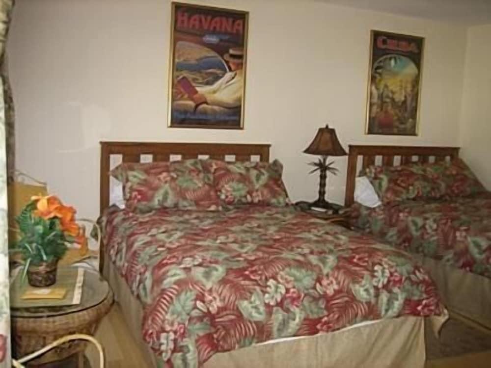 Spring Motor Inn photo 8