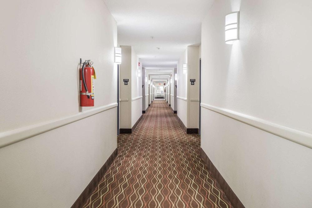 Econo Lodge Morristown West photo 3