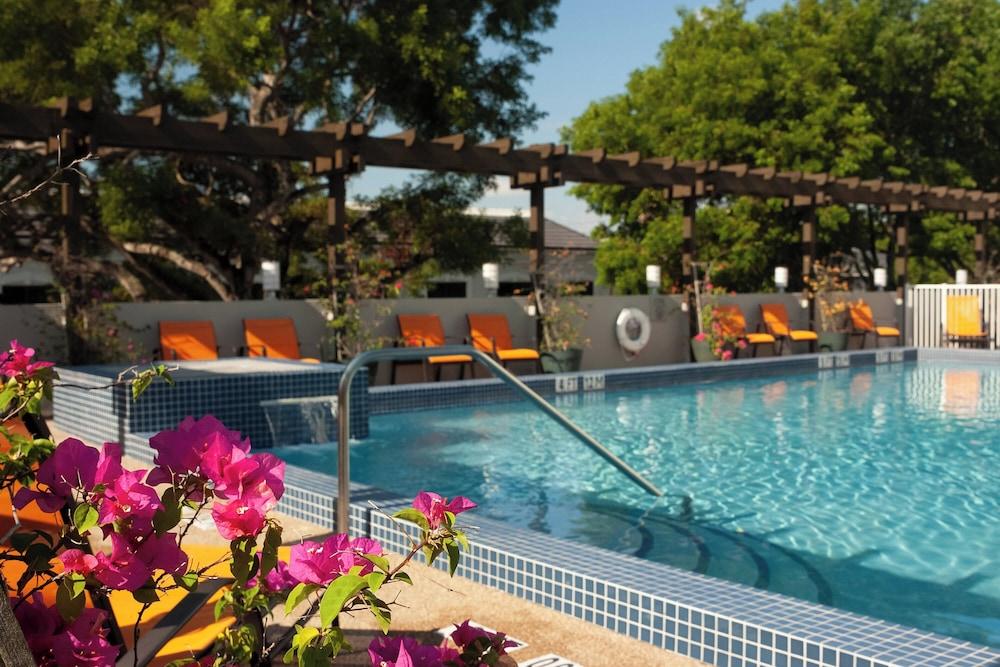 Courtyard Miami in Coral Gables by Marriott photo 37