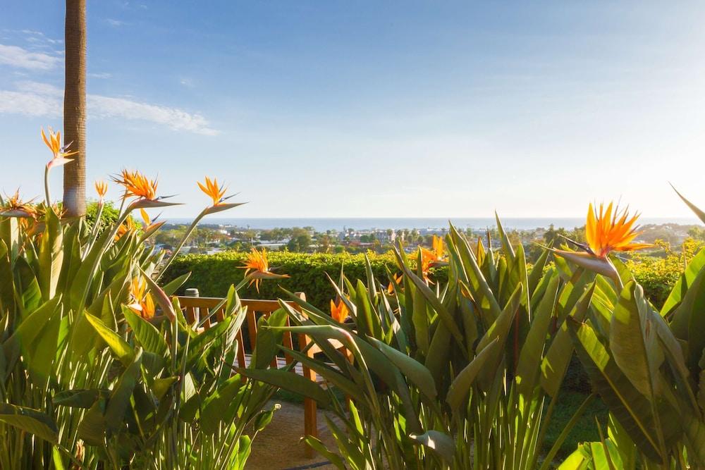 Grand Pacific Palisades photo 93