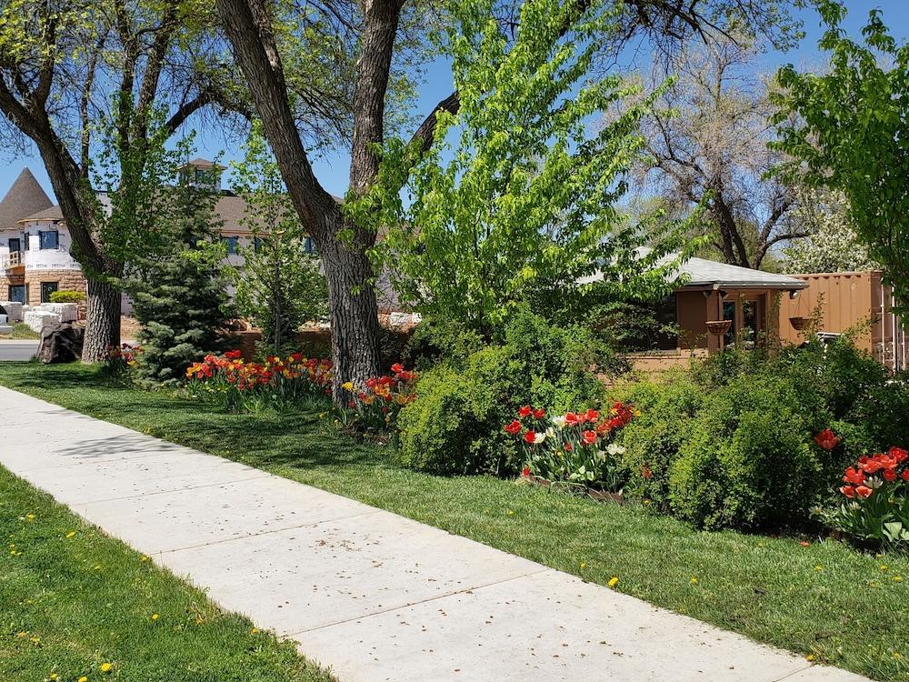 Stone Lizard Lodging photo 78