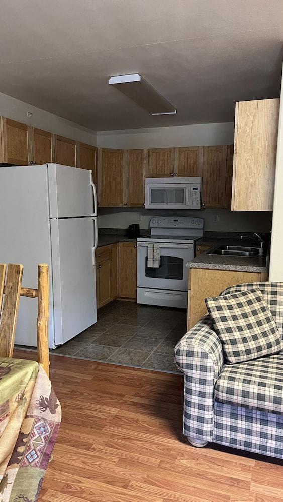 Denali Rainbow Village RV Park and Motel photo 79