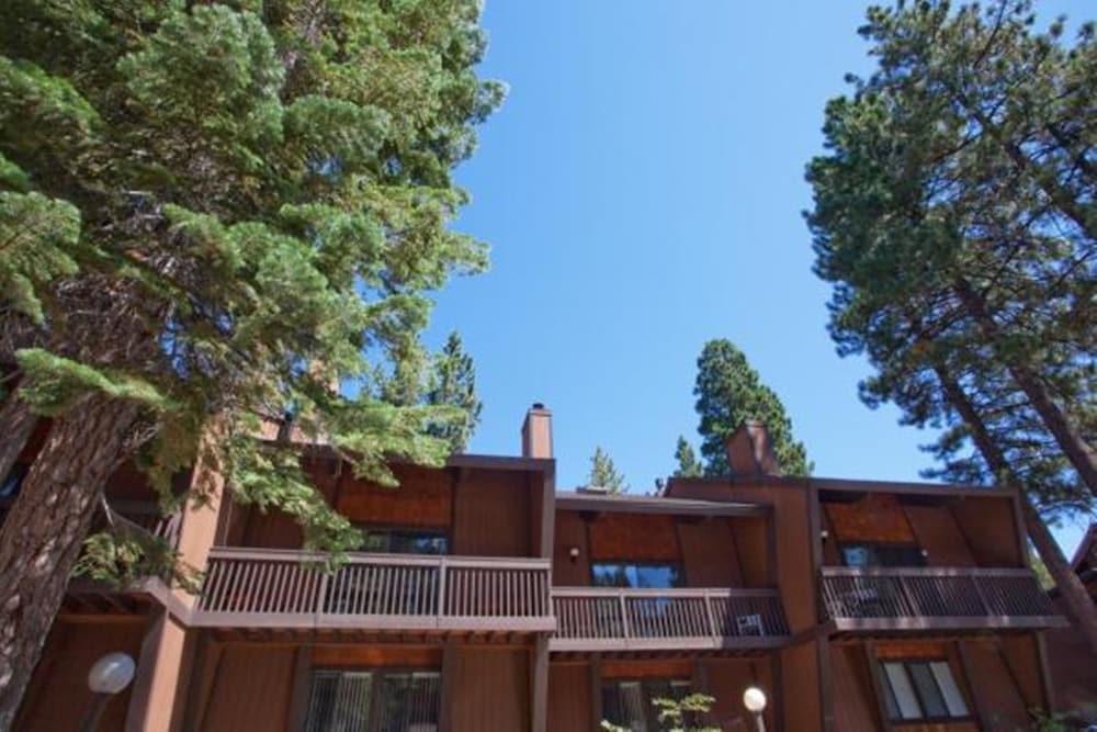 Club Tahoe photo 26
