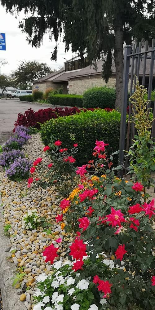 American Value Inn photo 18