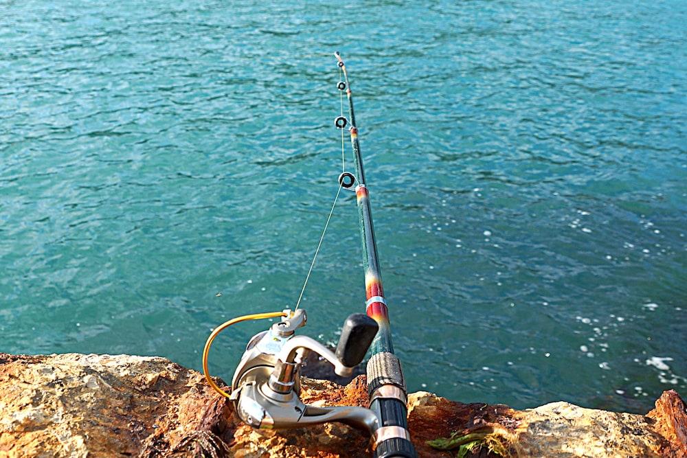OMEO Clearlake Oaks photo 92