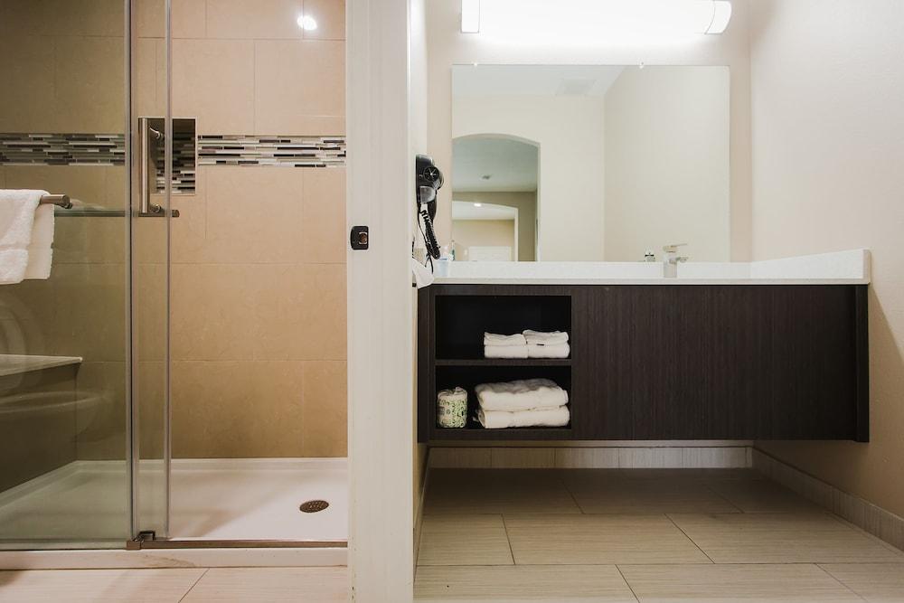 Palace Inn and Suites - Willowbrook Mall photo 3
