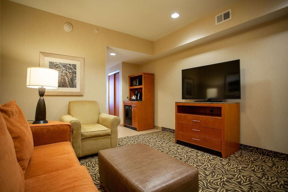 Hilton Garden Inn Cedar Falls photo 6