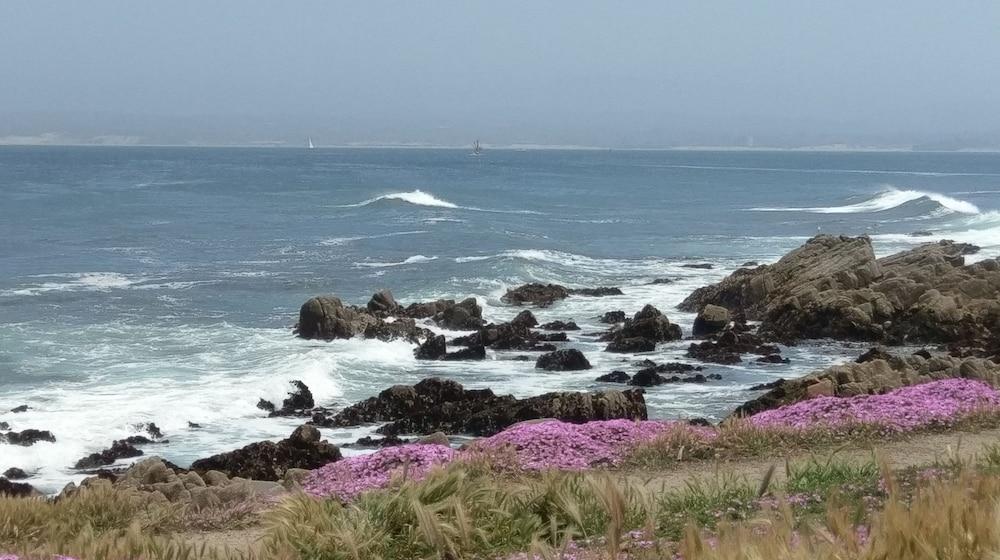Pacific Grove Inn photo 50