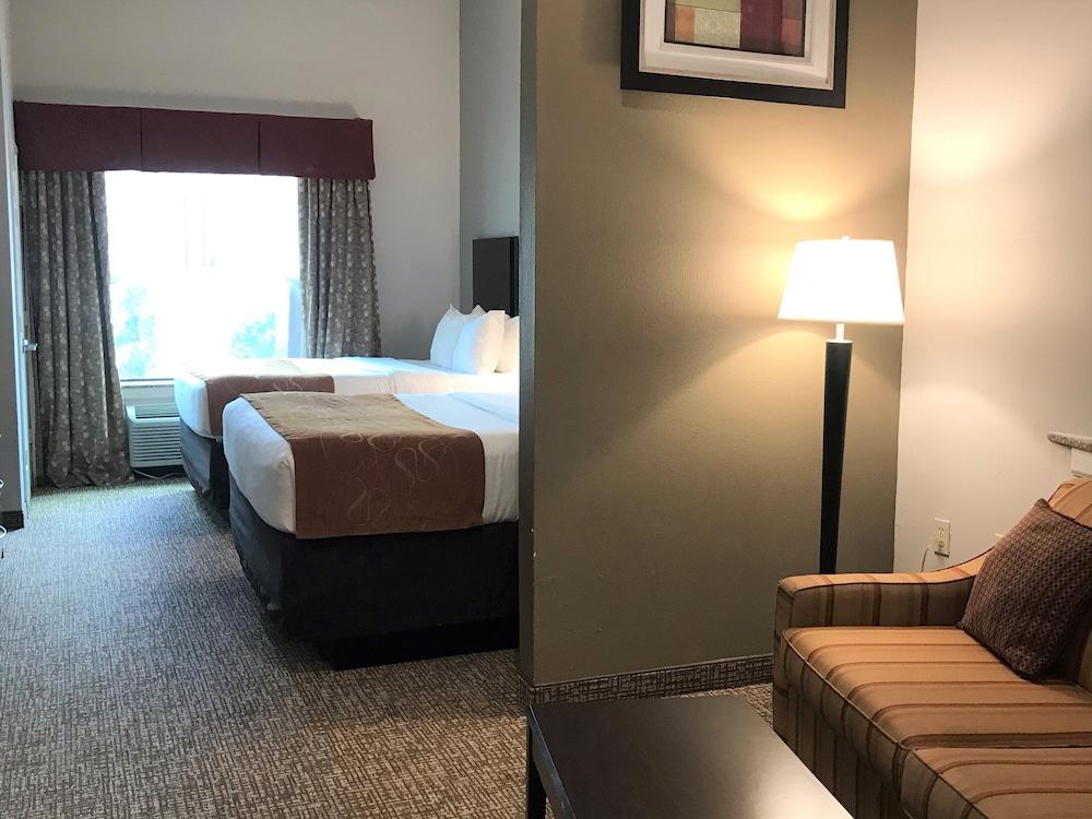 Comfort Suites Bay City East photo 4