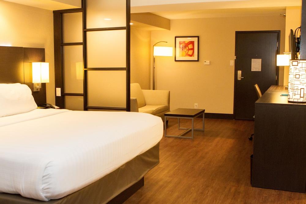 Holiday Inn Express & Suites San Antonio Medical-Six Flags by IHG photo 25