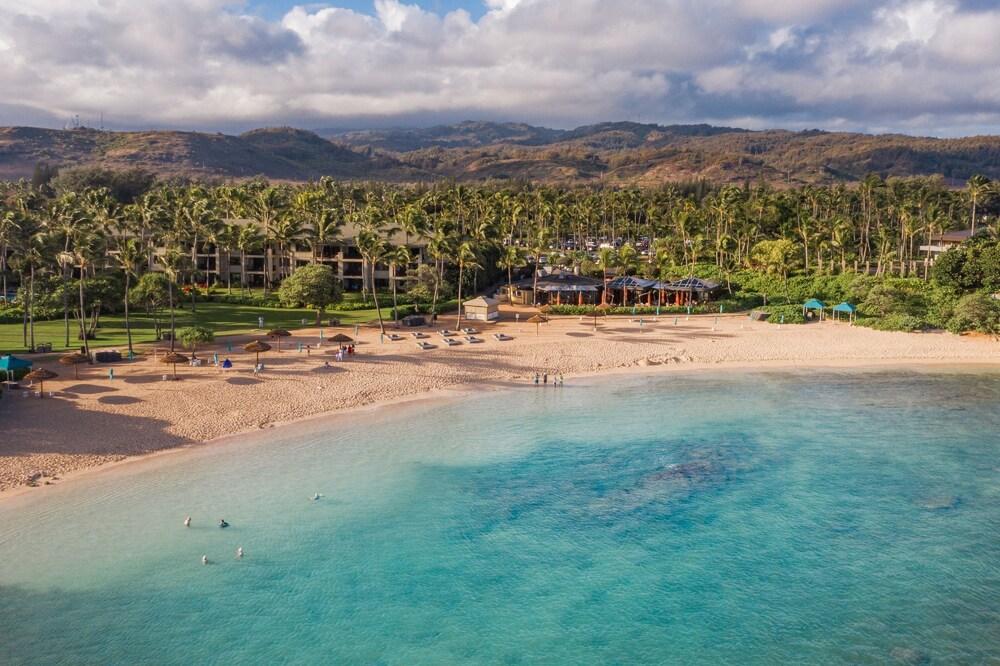 Ocean Bungalows at Turtle Bay Resort photo 8