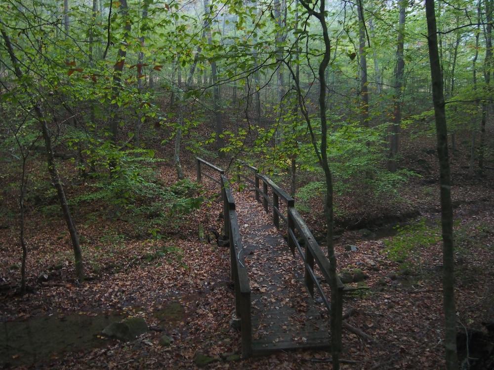 Buckhorn Lake State Resort Park photo 32