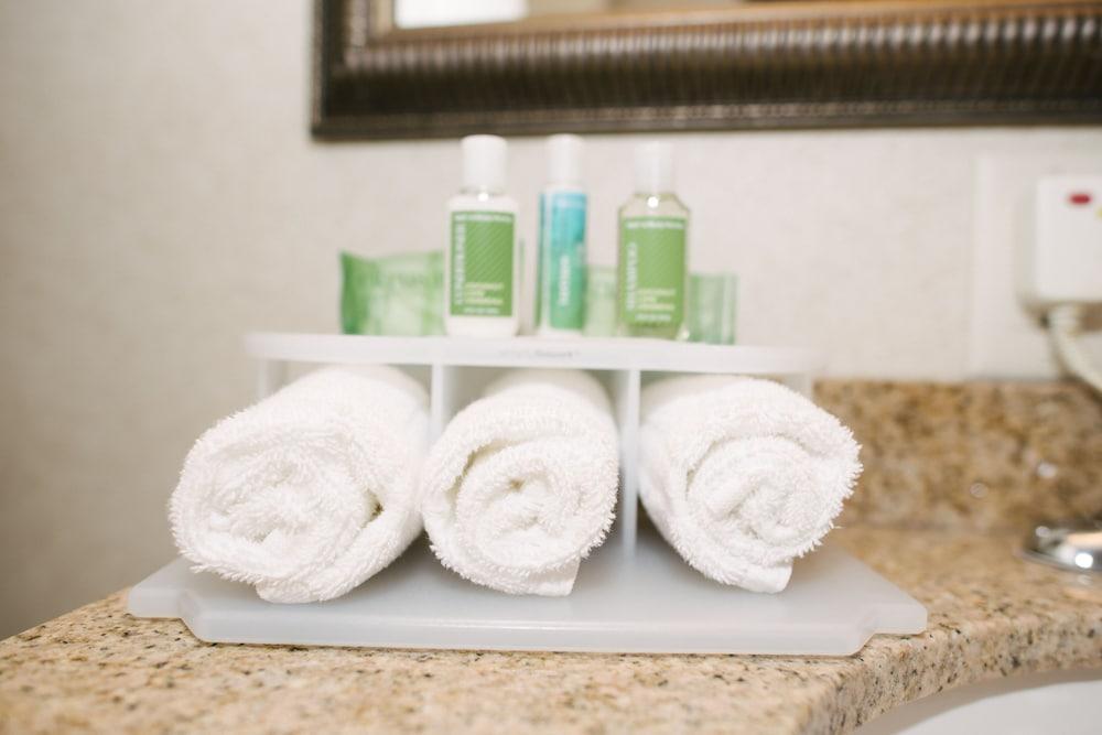Holiday Inn Express Hotel & Suites Custer by IHG photo 18