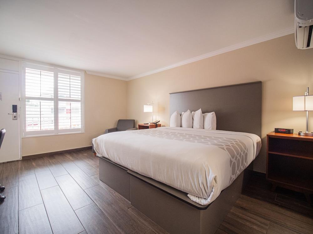 Equus Inn Ocala photo 21