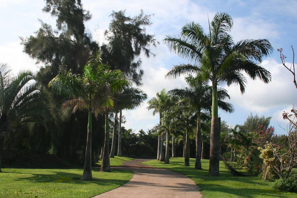 Hawaii Island Retreat photo 60