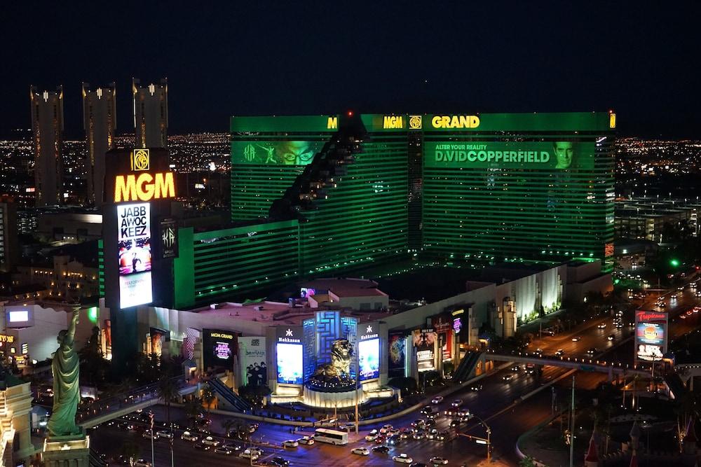 MGM Grand Hotel & Casino photo 94