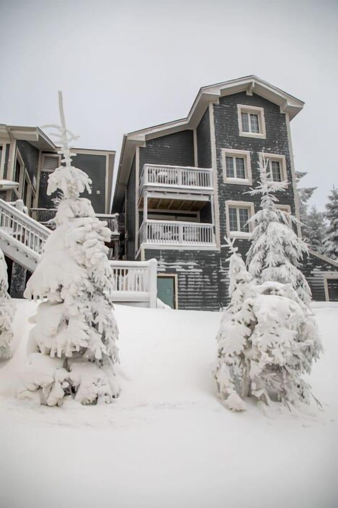 Corduroy Inn and Lodge, Trademark Collection by Wyndham photo 78