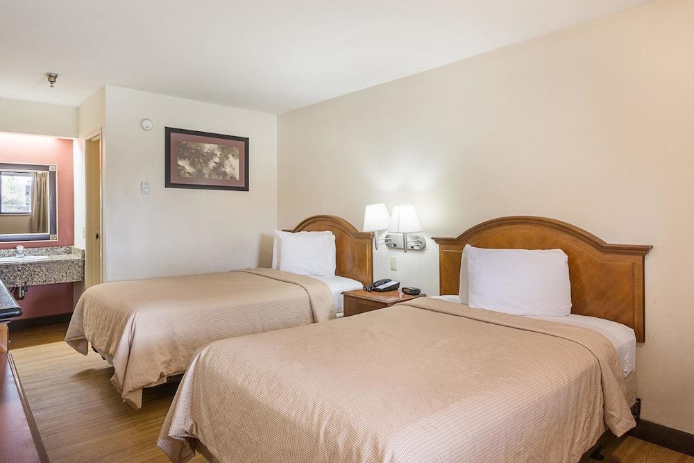 Rodeway Inn Tampa near Busch Gardens - USF photo 15