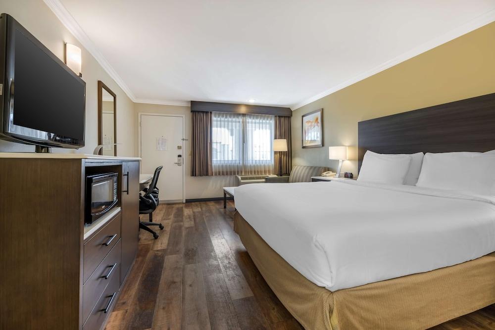 Best Western Plus Orange County Airport North photo 4