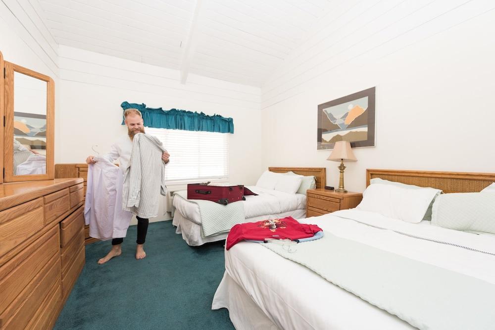 Bridge Bay Lodge at Shasta Lake photo 4