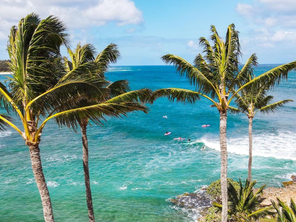 Ocean Bungalows at Turtle Bay Resort photo 10