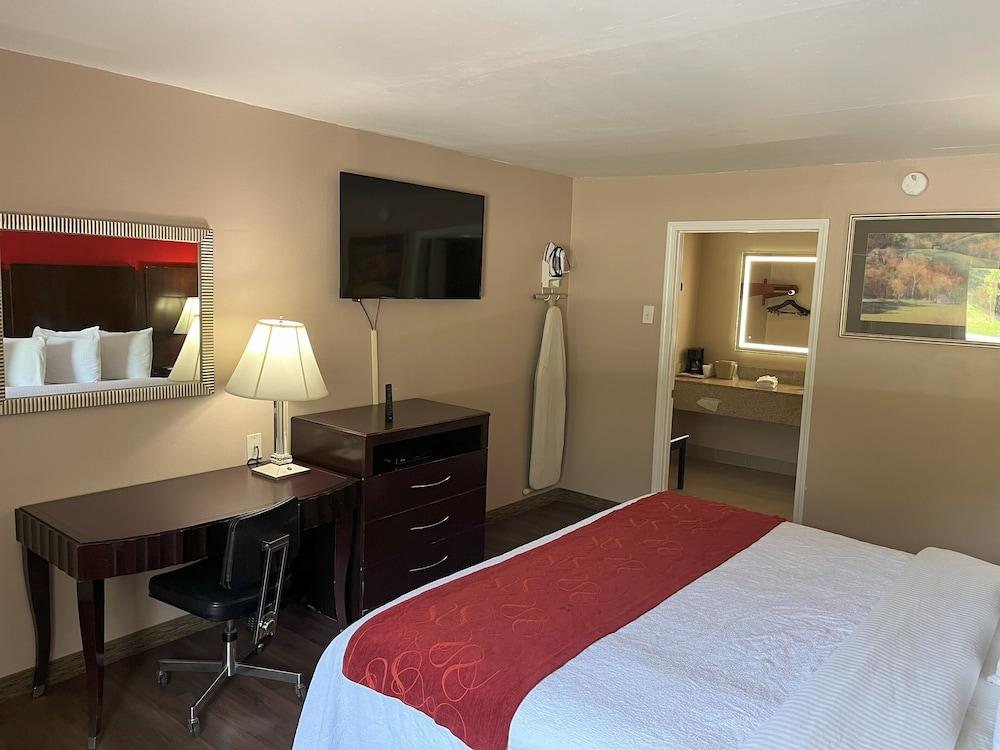 Pine Tree Inn photo 22