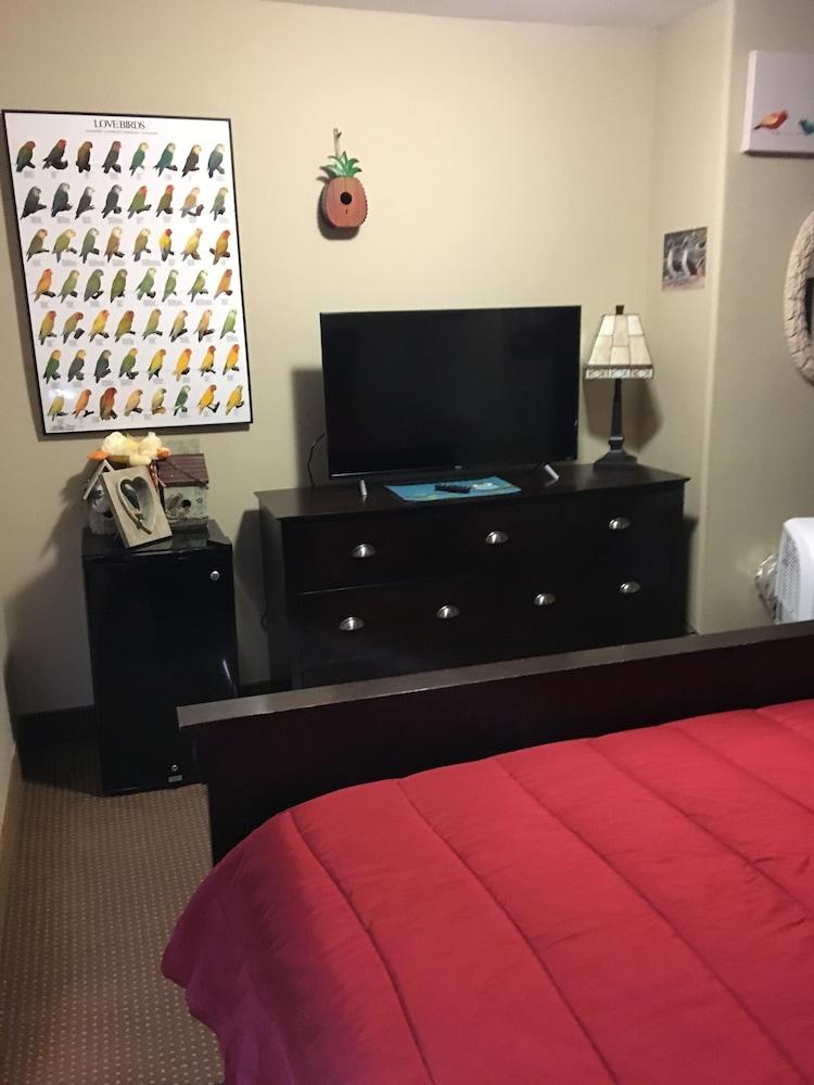 Hotel Cazan photo 22