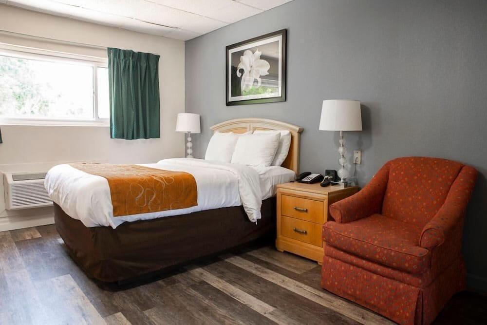Bedford Motel photo 8