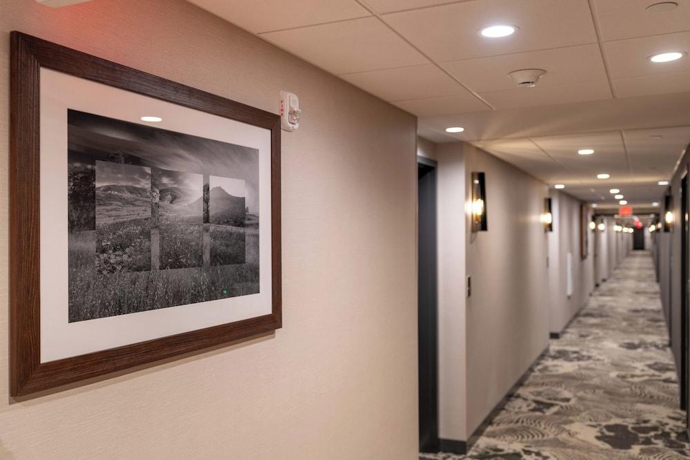 SpringHill Suites by Marriott San Luis Obispo photo 28
