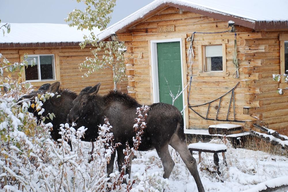 Earthsong Lodge photo 52