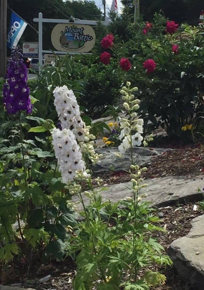Mount Battie Inn photo 56