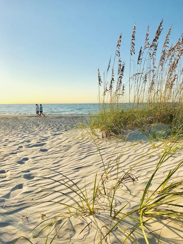 Sanibel Siesta on the Beach photo 12