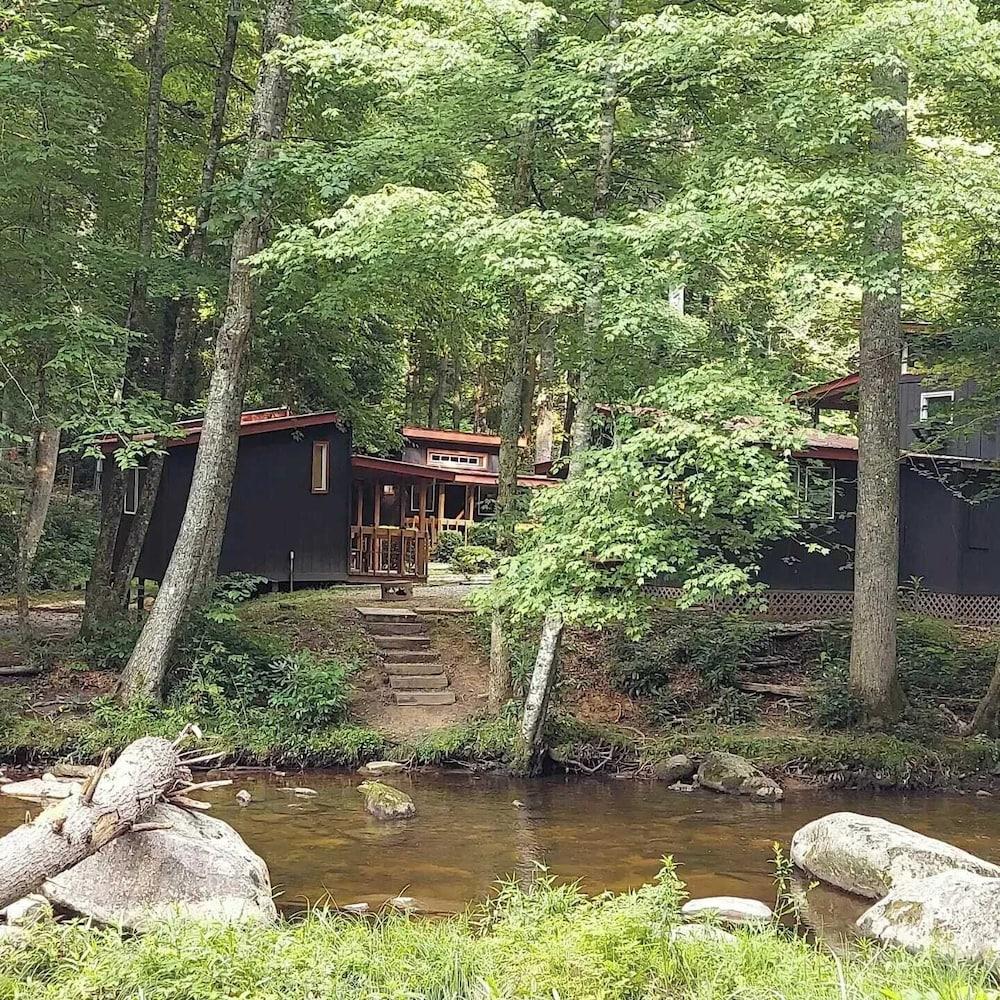 Black Bear Resort photo 38