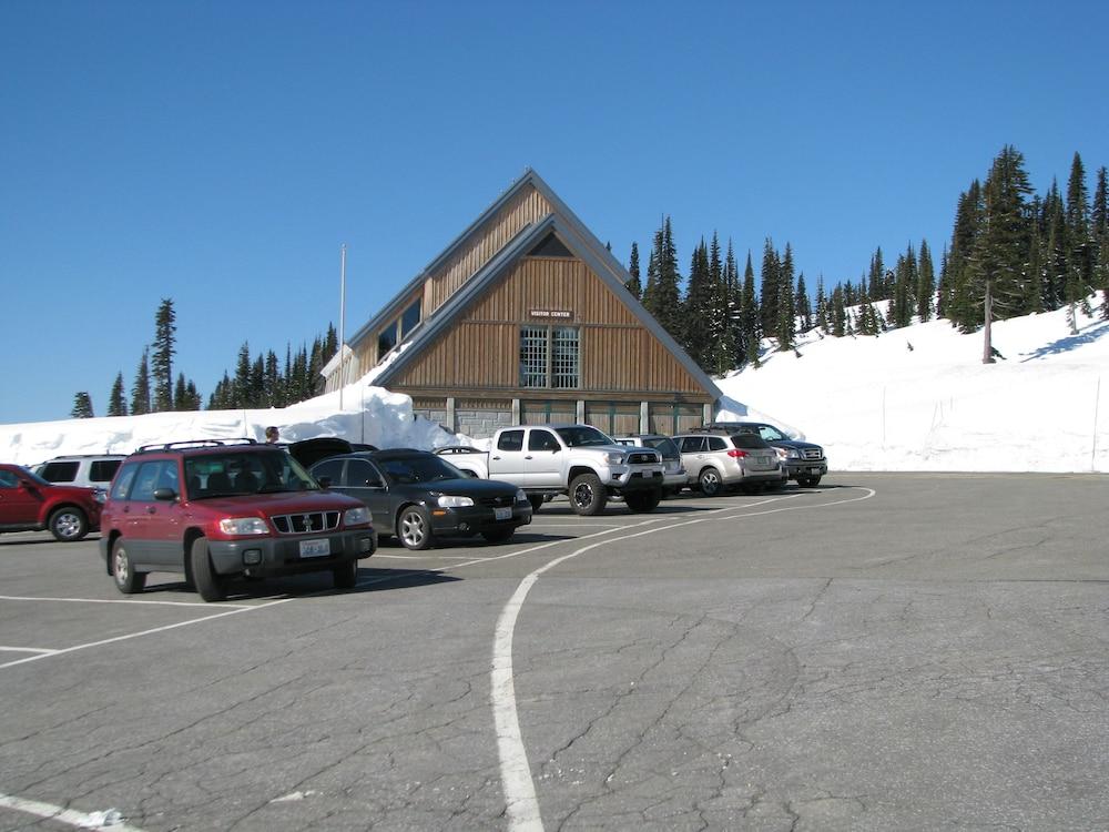 Paradise Inn photo 31