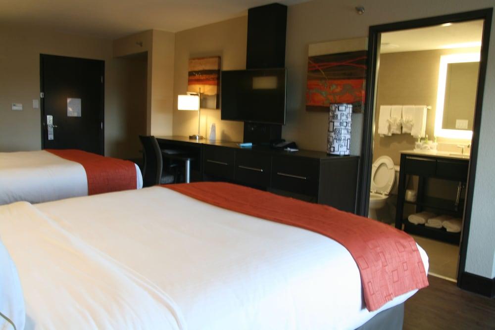 Holiday Inn Express & Suites San Antonio Medical-Six Flags by IHG photo 23