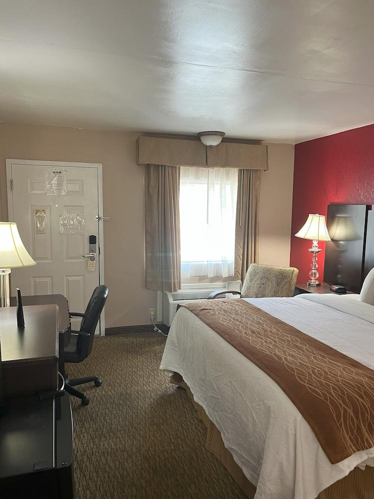 Pine Tree Inn photo 7