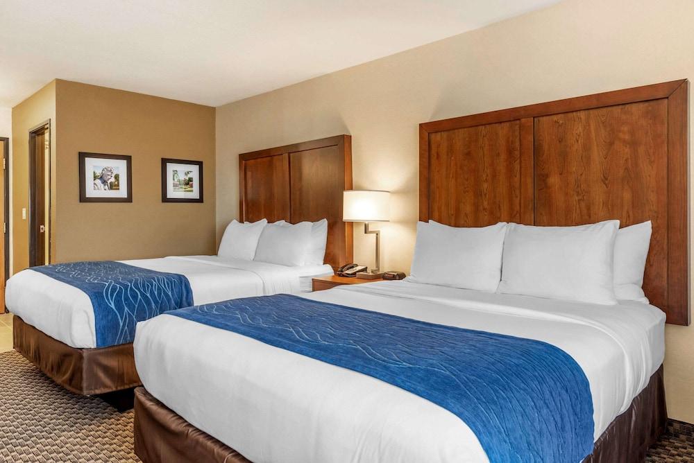Comfort Inn & Suites near Route 66 photo 14